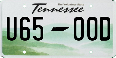 TN license plate U6500D