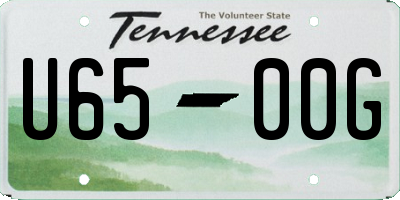 TN license plate U6500G