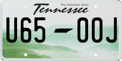 TN license plate U6500J