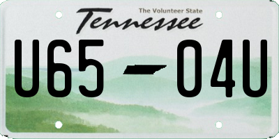 TN license plate U6504U