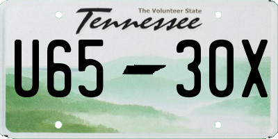 TN license plate U6530X