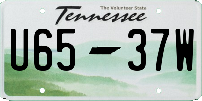 TN license plate U6537W