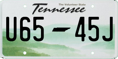 TN license plate U6545J