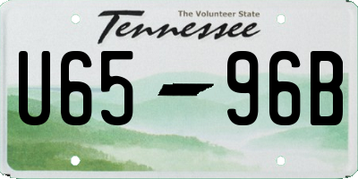 TN license plate U6596B