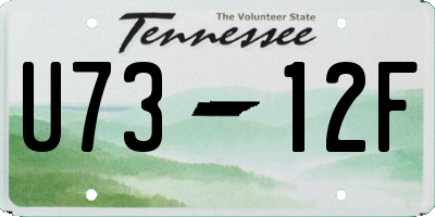 TN license plate U7312F