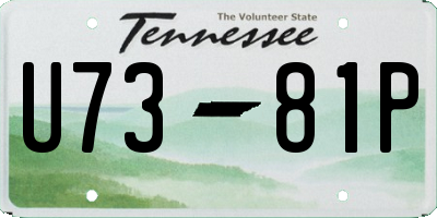 TN license plate U7381P