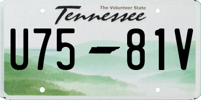 TN license plate U7581V