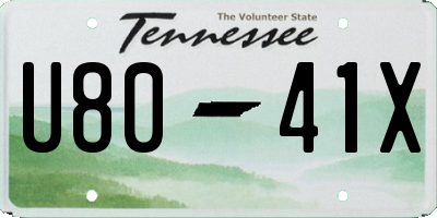 TN license plate U8041X