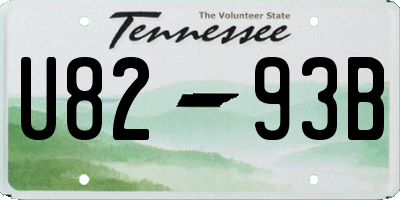 TN license plate U8293B