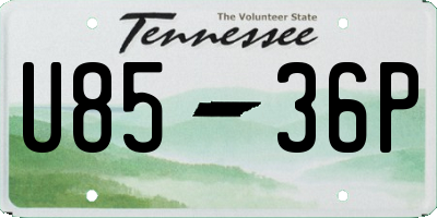 TN license plate U8536P