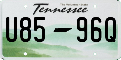 TN license plate U8596Q