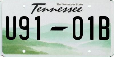 TN license plate U9101B