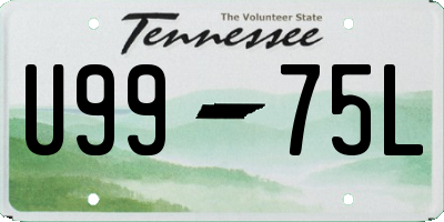TN license plate U9975L