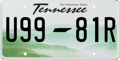 TN license plate U9981R