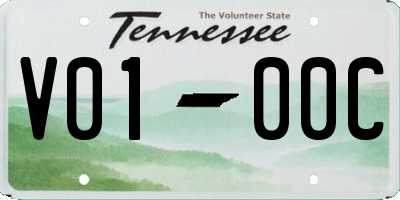 TN license plate V0100C
