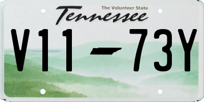 TN license plate V1173Y