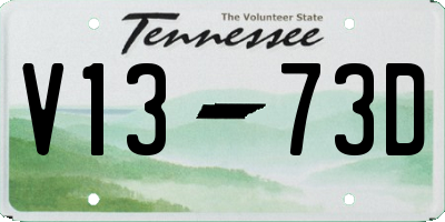 TN license plate V1373D