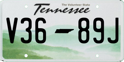 TN license plate V3689J