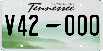 TN license plate V4200O