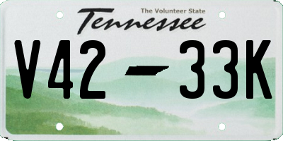 TN license plate V4233K