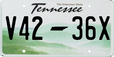 TN license plate V4236X
