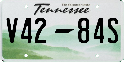 TN license plate V4284S