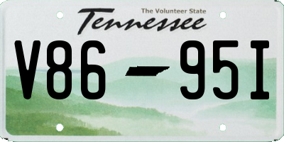 TN license plate V8695I
