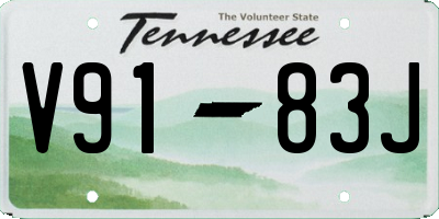 TN license plate V9183J