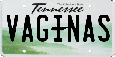 TN license plate VAGINAS