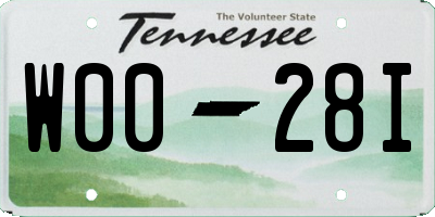 TN license plate W0028I
