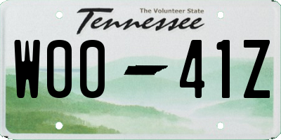 TN license plate W0041Z