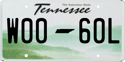 TN license plate W0060L