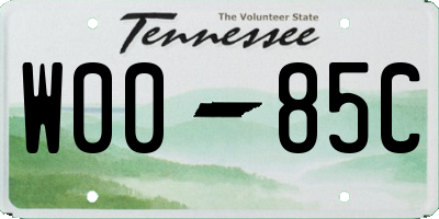 TN license plate W0085C