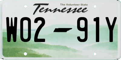 TN license plate W0291Y