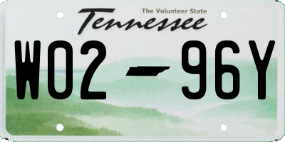 TN license plate W0296Y