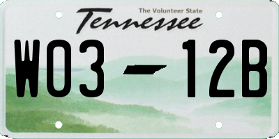 TN license plate W0312B