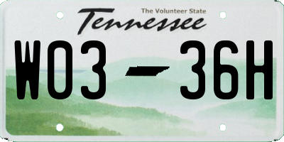 TN license plate W0336H