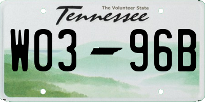 TN license plate W0396B