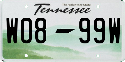 TN license plate W0899W