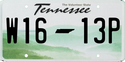 TN license plate W1613P