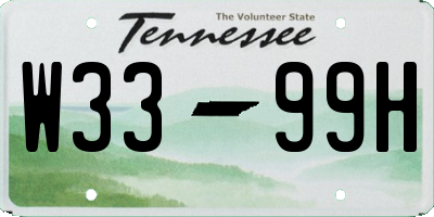TN license plate W3399H
