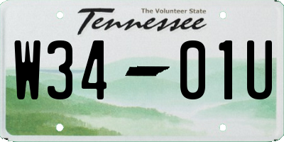 TN license plate W3401U