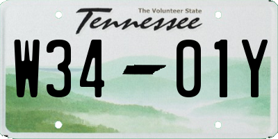 TN license plate W3401Y