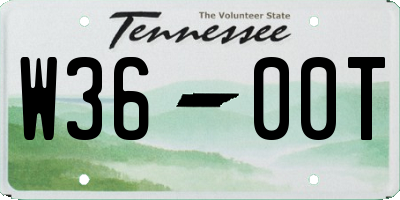 TN license plate W3600T