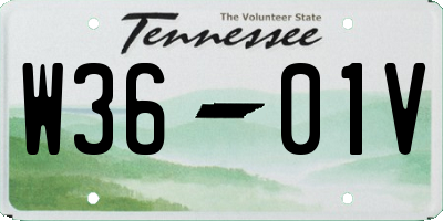 TN license plate W3601V