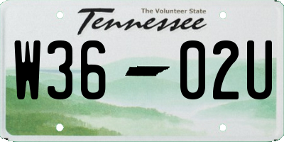 TN license plate W3602U