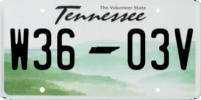 TN license plate W3603V