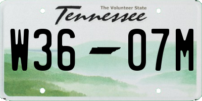 TN license plate W3607M
