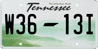 TN license plate W3613I