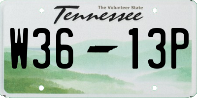 TN license plate W3613P